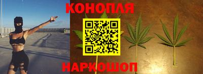 трава Пугачёв