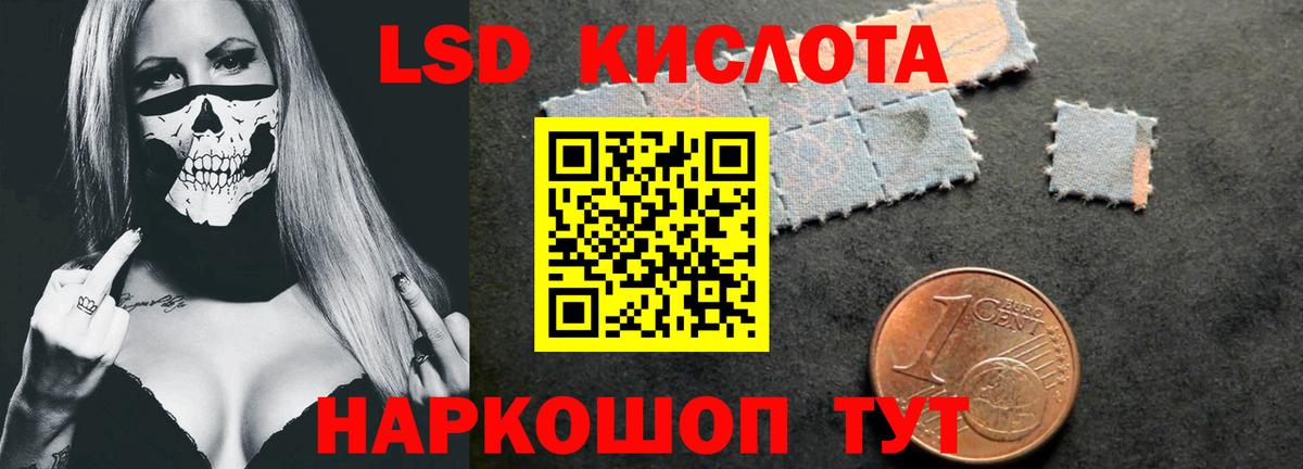 OMG ONION  Лсд 25 экстази кислота  LSD-25 экстази кислота  Вход с VPN  Новодвинск  LSD-25 экстази 