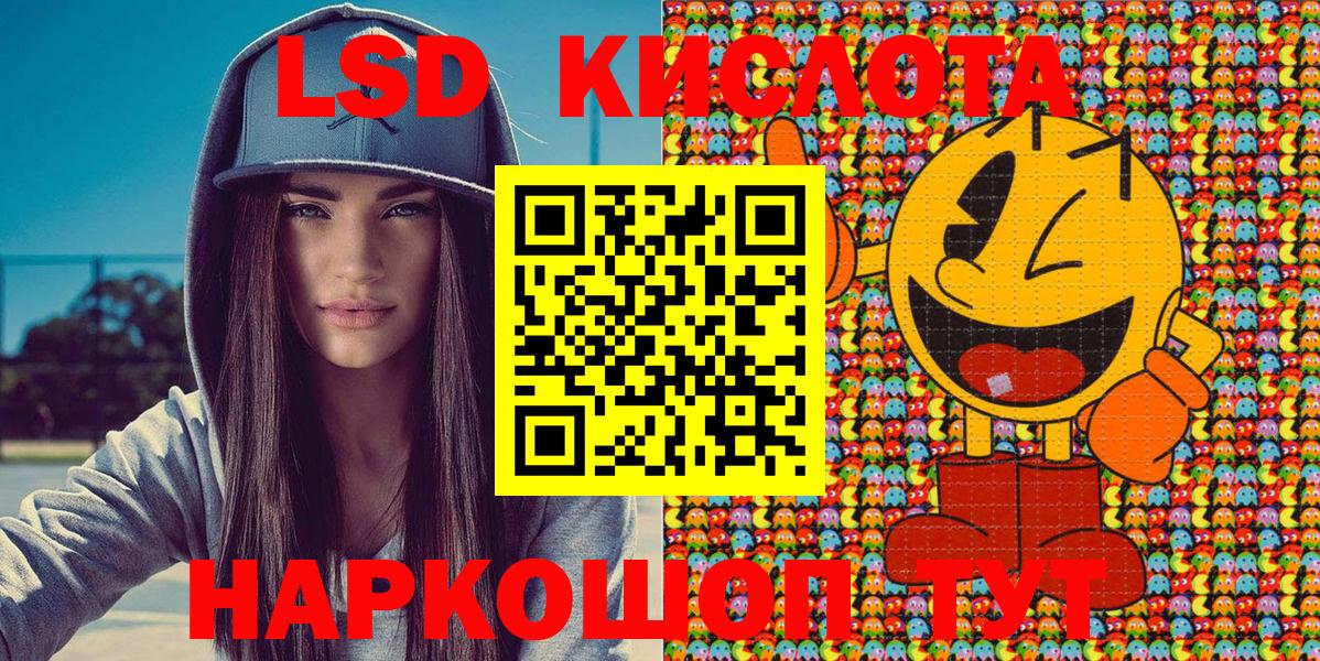 COCAIN Новодвинск